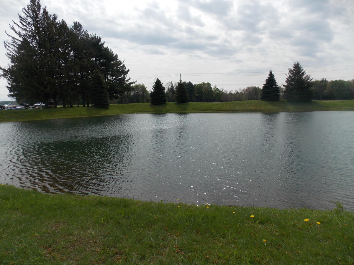 Fairway Suites At The Peak French Creek Kültér fotó