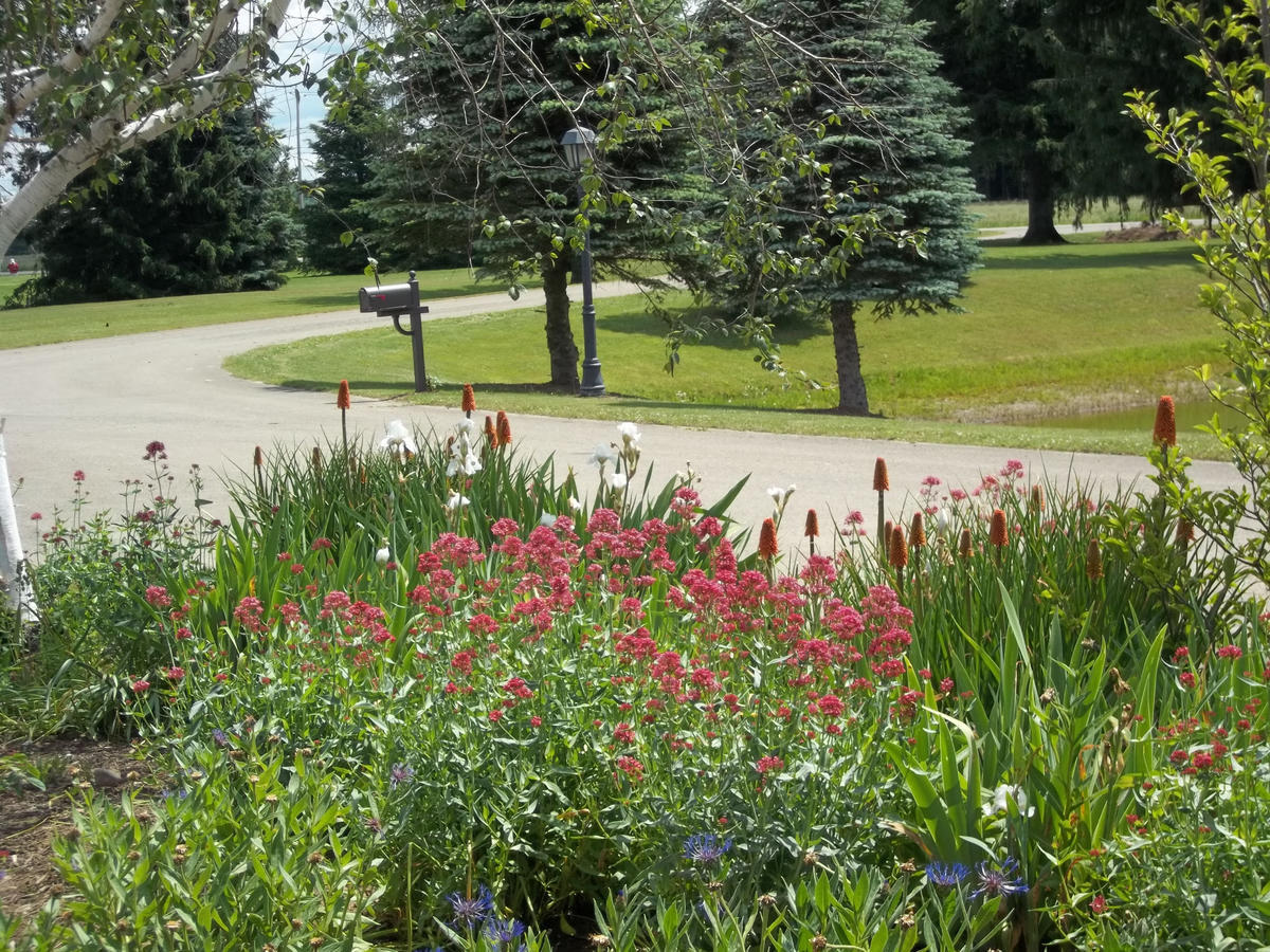 Fairway Suites At The Peak French Creek Kültér fotó