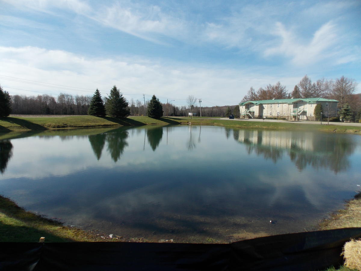 Fairway Suites At The Peak French Creek Kültér fotó